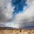 Storm Clouds above Clark Dry Lake -173